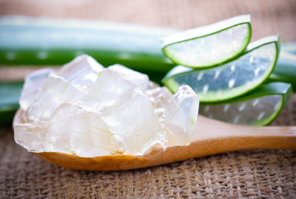 Où acheter du gel d’aloe vera