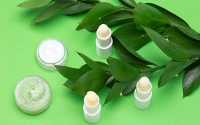 Baume à lèvres naturel à base d’aloe vera : Une solution hydratante et nourrissante