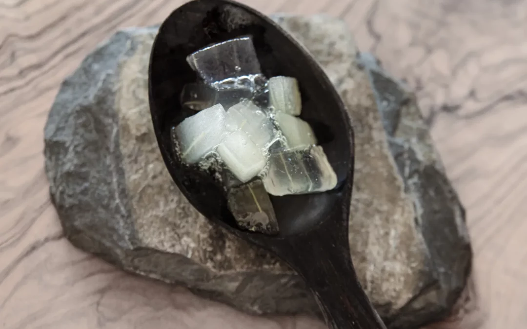 Les bienfaits de l’aloe vera pour une santé bucco-dentaire optimale