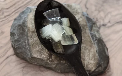 Les bienfaits de l’aloe vera pour une santé bucco-dentaire optimale