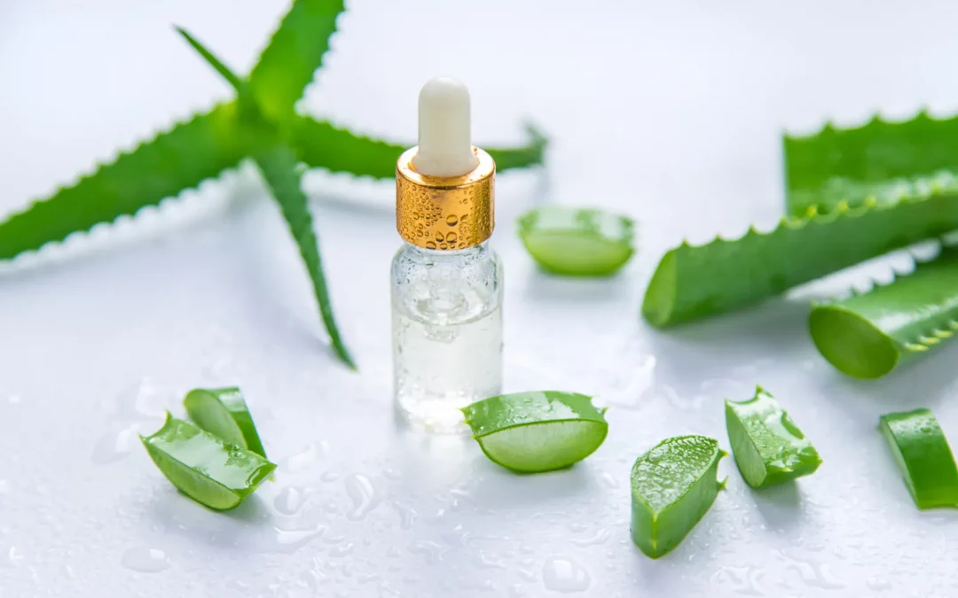 Les utilisations polyvalentes de l’aloe vera en cosmétique naturelle