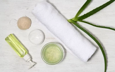 L’aloe vera : un ingrédient essentiel dans votre trousse de premiers soins d’été