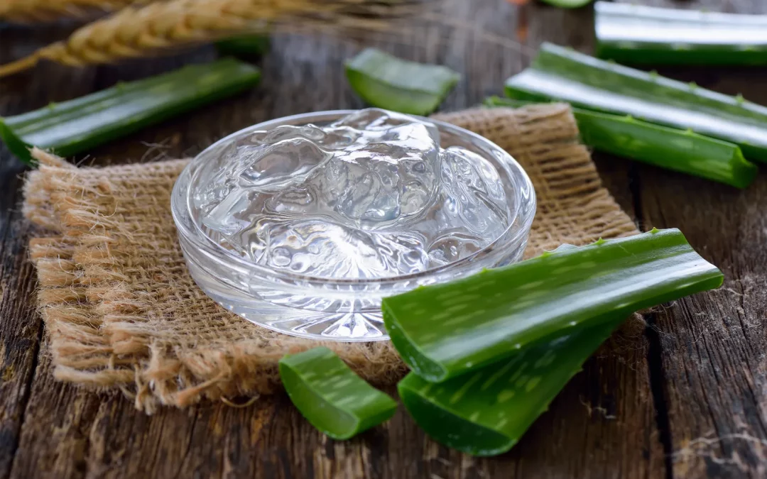 Les bienfaits de l’aloe vera pour la santé des yeux : Soins naturels pour les yeux fatigués et irrités