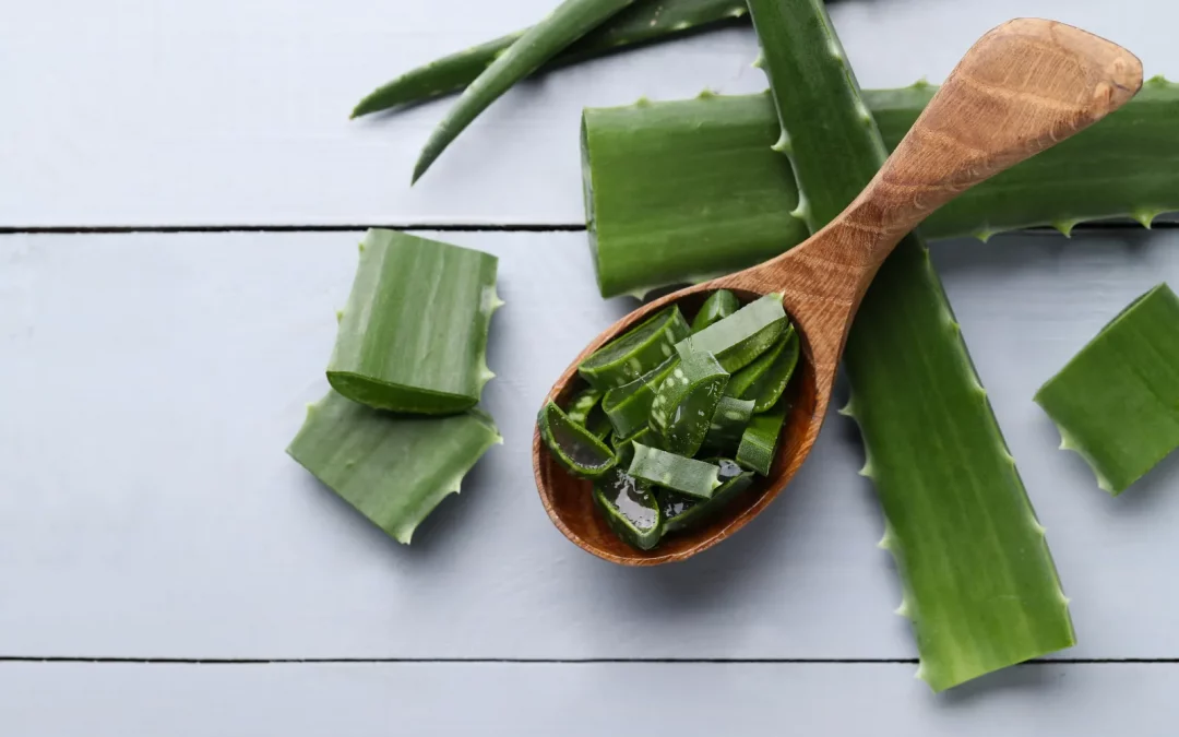 Les bienfaits de l’aloe vera pour une peau radieuse et en santé