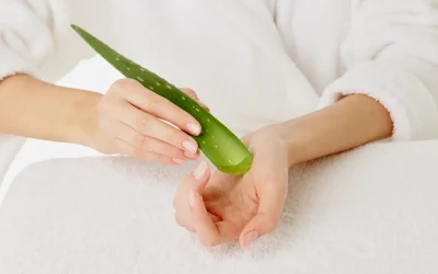 L’Aloe Vera : Votre Allié pour une Digestion Saine et un Bien-Être Intestinal