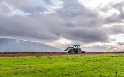 L’aloe vera dans l’agriculture biologique