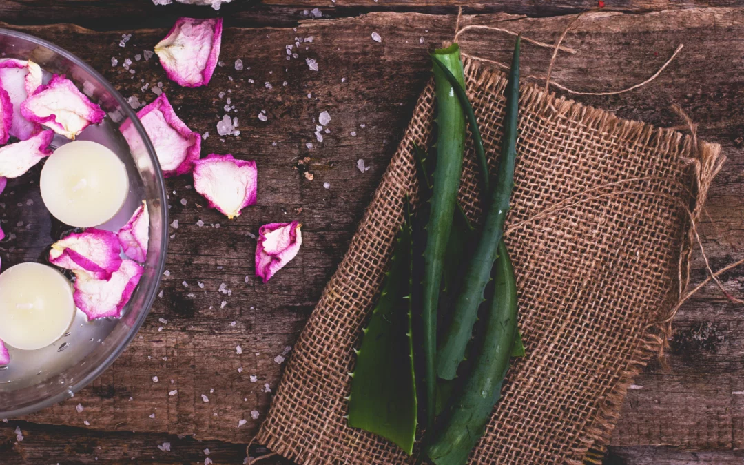 Aloe vera avec fleurs : Beauté florale et bienfaits multiples