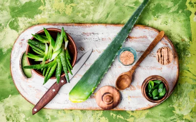 Comment couper l’Aloe Vera : Guide pratique pour une coupe correcte et sûre