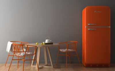 Aloe vera au frigo : Avantages, astuces et précautions pour une conservation optimale