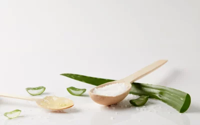 Aloe vera sans épine : une plante pratique et sans danger pour votre intérieur