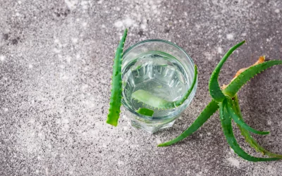 Comment Faire des Boutures d’Aloe Vera