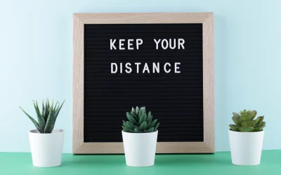 Aloe vera : Contre-indications et précautions d’utilisation