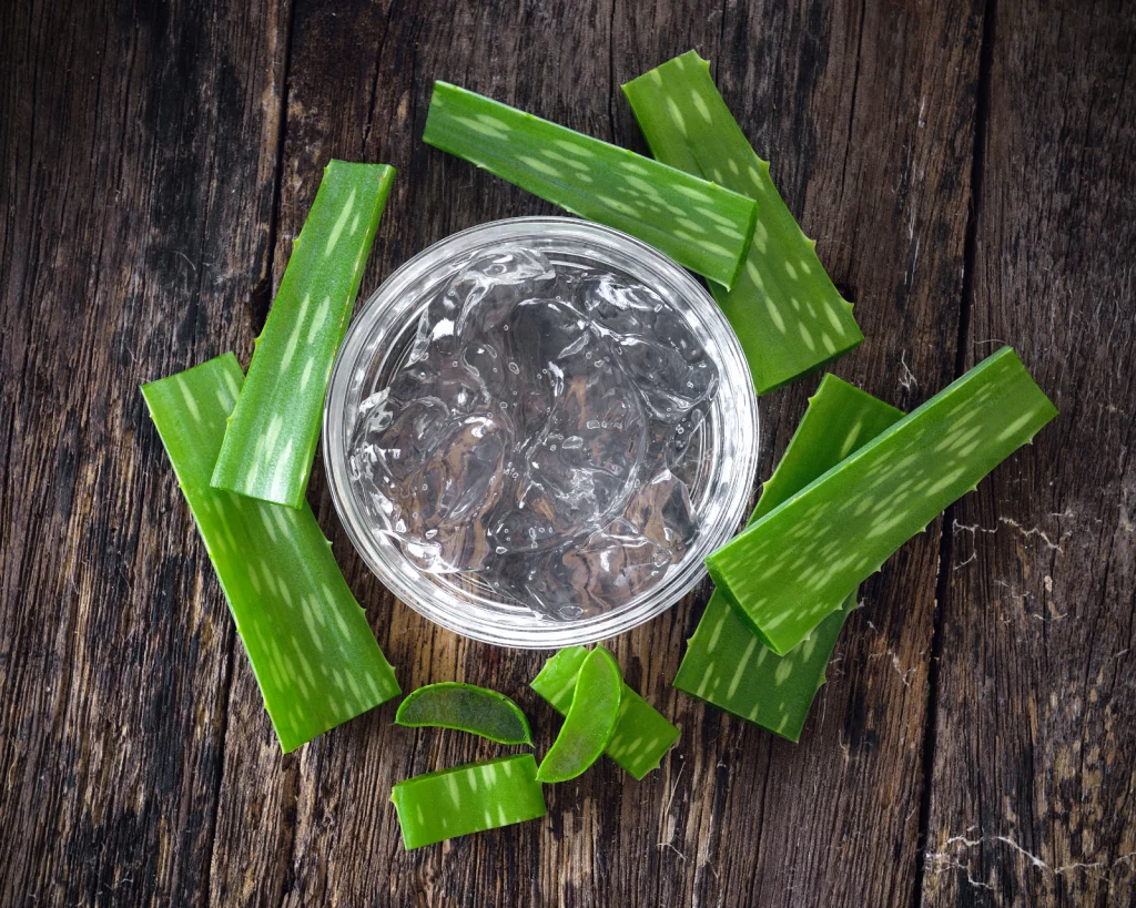 Comment préparer un gel d'aloe vera maison : recettes simples - Aloe