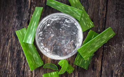 Comment préparer un gel d’aloe vera maison : recettes simples