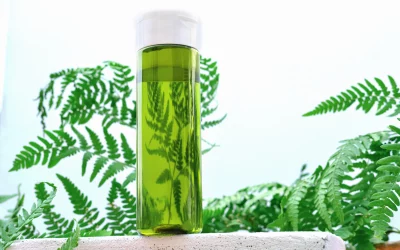 Comment faire une lotion tonique à l’aloe vera