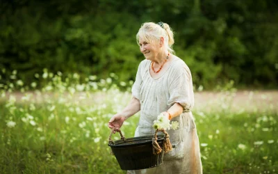 Les utilisations de l’aloe vera dans les produits de soins pour personnes âgées