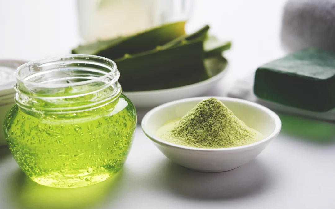 La poudre d’aloe vera : un ingrédient polyvalent
