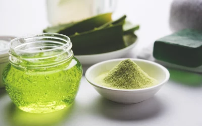 La poudre d’aloe vera : un ingrédient polyvalent
