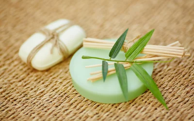 Savon pour les mains à l’aloe vera